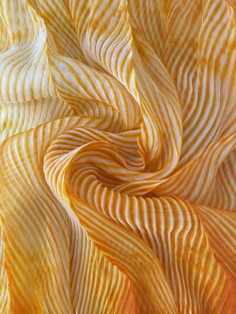 Orange Pure Organza Saree By Rajasthani Creation