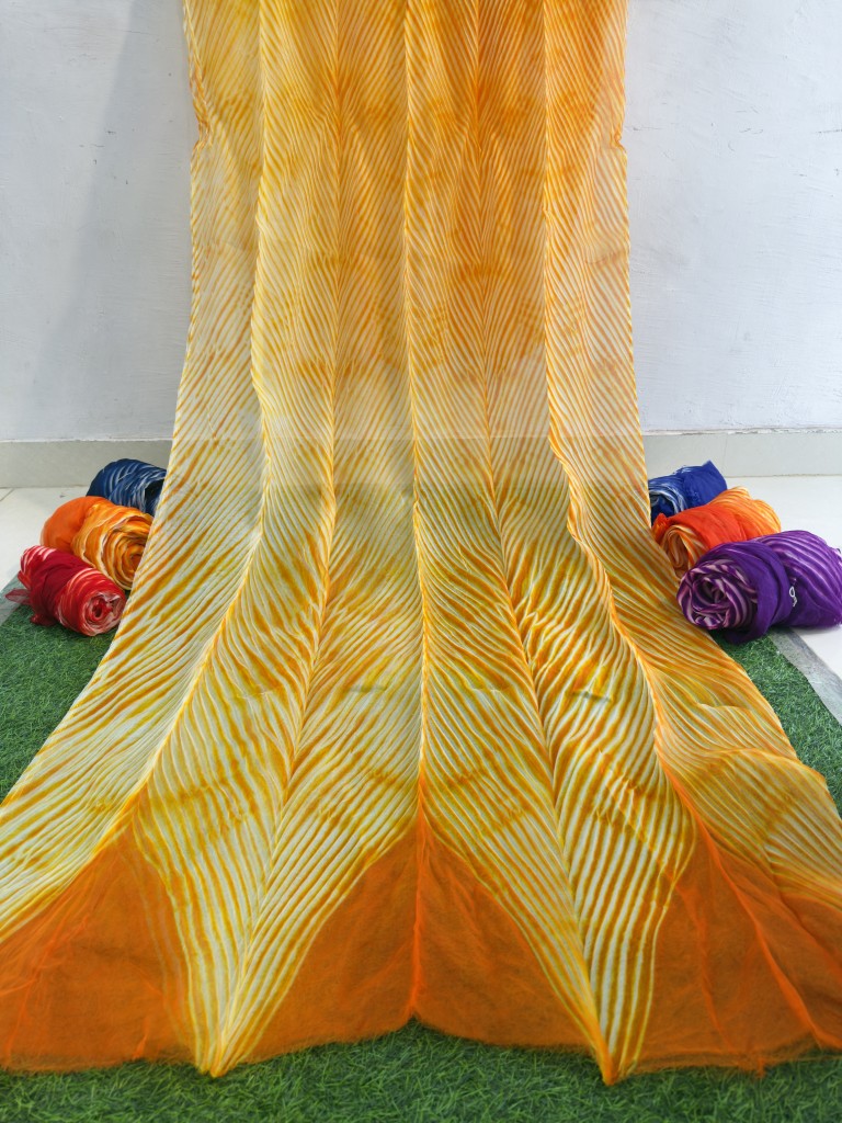 Orange Pure Organza Saree By Rajasthani Creation
