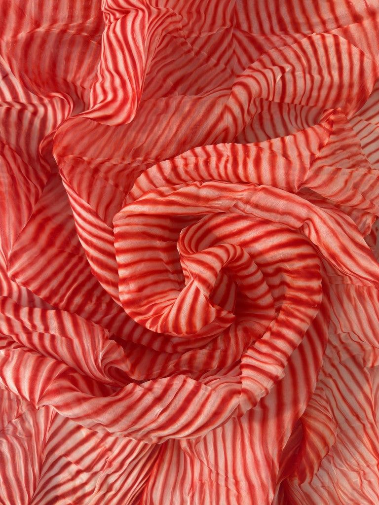 Red Pure Organza Saree By Rajasthani Creation