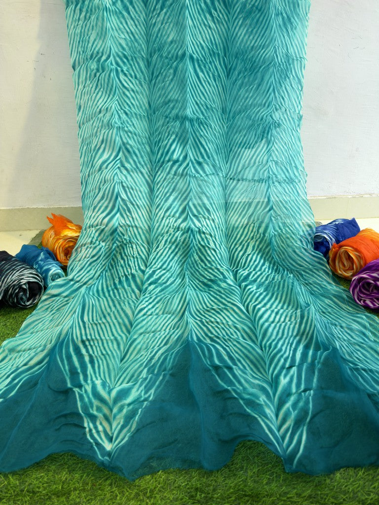 Sea Green Pure Organza Saree By Rajasthani Creation