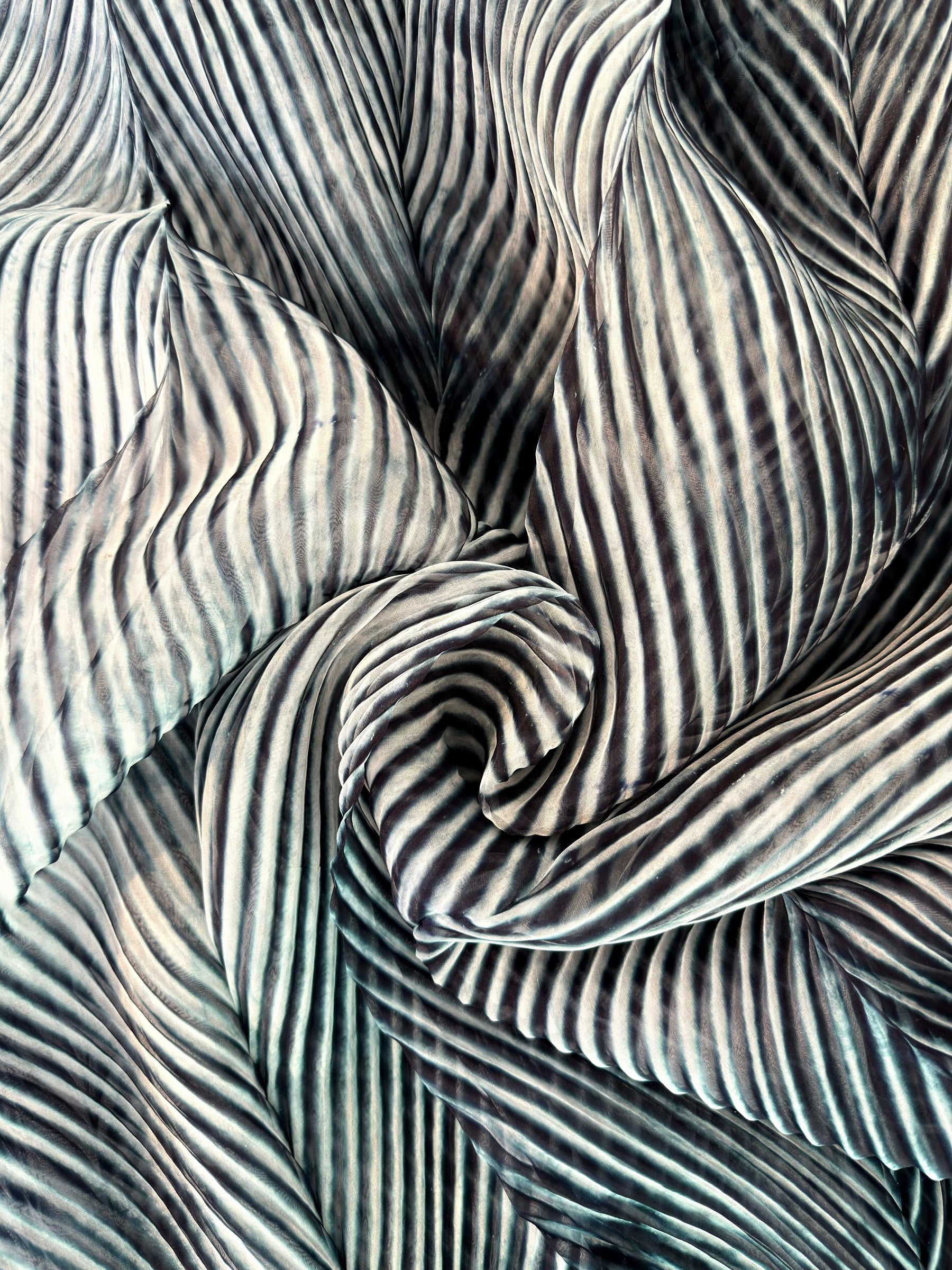 Black Pure Organza Saree By Rajasthani Creation